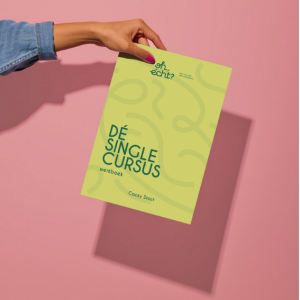 Dé Singlecursus Werkboek